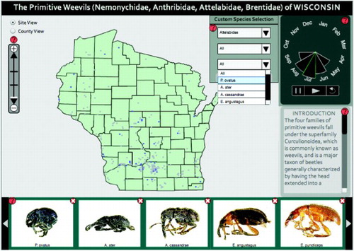 Figure 4. The selected species panel, updating content according to the user's filter criteria in the custom species selection panel.