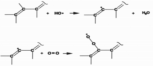 Scheme 5. Formation of peroxyl radical (Joseph, Citation2004).