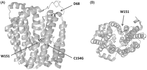 Figure 2. Structure of LacY, highlighting the FRET donor W151, relevant residue D68, and mutation site C154G. Panels A and B show side and top views, respectively.