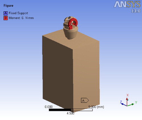 Figure 2. A 6-Nmm torque load was applied in the slot of the top surface of the miniscrew.