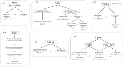Figure 2 Algorithms for targeted treatment of BSI, cUTI and cIAI, caused by Enterobacterales with different pattern of susceptibility in the ICU setting. *if MIC for cefepime ≤1 mg/L. ** ESCPM group includes: Enterobacter (E. cloacae complex, E. aerogenes), Serratia marcescens, Citrobacter freundii, Providencia stuartii, and Morganella morganii.