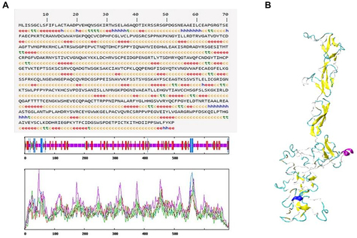 Figure 4 (A) Secondary structure of Echinococcus multilocularis derived complement inhibitor (Em-CI). hh denotes an α-helix, ee denotes an extended strand, tt denotes a β-turn, and cc denotes a random coil. (B) Tertiary structure of Em-CI.