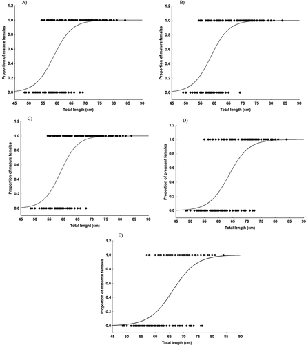 FIGURE 6. Maturity ogives for female Giant Electric Rays in relation to TL (cm). (A) Ogive by maturity phase. (B) Ogive based on ovary condition. (C) Ogive based on uterus condition. (D) Pregnancy ogive. (E) Maternity ogive.