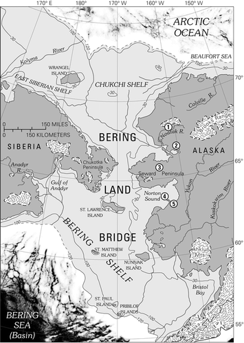 Figure 1 Map of central Beringia, showing extent of Bering land bridge during the late Wisconsin maximum, ∼18,000 14C yr BP. Glacial ice extent is based on CitationKaufman and Hopkins (1986), CitationHamilton (1994), CitationVelichko et al. (1984), and CitationKaufman and Manley (2004). Key sites with pollen evidence for late Wisconsin vegetation discussed in this paper include (1) Kaiyak Lake, northwestern Alaska (CitationAnderson, 1985); (2) Squirrel Lake, northwestern Alaska (CitationAnderson, 1985); (3) Imuruk Lake, Seward Peninsula (CitationColinvaux, 1964; CitationColbaugh, 1968); (4) Core 79-121, Norton Sound (CitationMuhs et al., 2003; this paper); and (5) Zagoskin Lake, St. Michael Island (CitationAger, 1983, Citation2003).