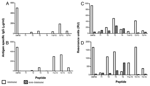 Figure 5. Antibody reactivities to the OMP26 peptides of sera from rats immunized with OMP26 protein and non-immune DA rats, using the IPP/IT (Panel A, C) and IP (Panel B, D) immunization regimens and assayed by ELISA (6A, B) and SPR (Panel C, D). Immune and non-immune sera collected from 3–5 rats were pooled and assayed in duplicate for antibody binding against the whole OMP26 protein and peptides. Antibody reactivities are expressed as IgG concentration in μg/ml in ELISA and Resonance Units (RU) in SPR. No specific antibodies to OMP26 peptides were detected in non-immune sera at the lowest sample dilution (1:25) by ELISA.
