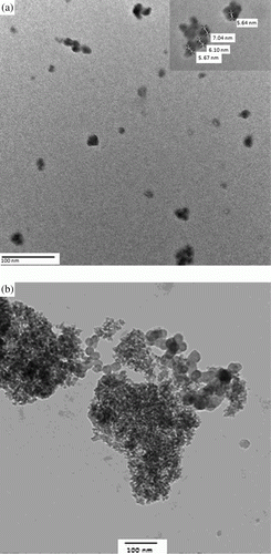 Figure 4.  (a) TEM micrograph of SiO2-RuCl3. (b) TEM micrograph of SiO2-RuCl3 after 5th use.