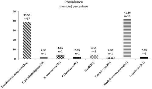 Figure 1. Prevalence of bacterial strains (number and percentage) isolated from patients with cystic fibrosis enrolled in the study.