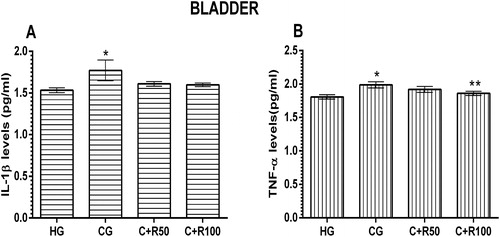 Figure 7. Levels of IL-1β (A) and TNF-α (B) levels in bladder tissue.* p < 0.05 vs. HG group, ** p < 0.05 vs. CG group.