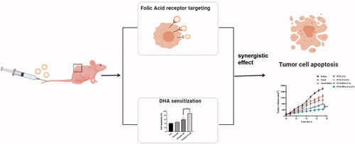 Figure 1. Co-delivery of PTX and DHA by targeting lipid nanoemulsions for breast cancer therapy.