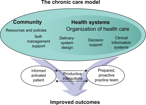 Figure 5 Chronic care model.