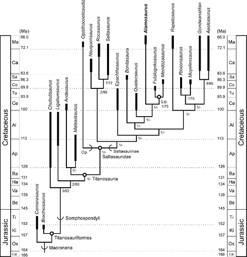 Figure 17. Results of the second analysis. Single resolved tree (length = 145 evolutionary steps, consistency index = 0.6966, retention index = 0.7124) generated by the second analysis based on data matrix of González Riga & Ortiz David (Citation2014) after Drusilasaura was deleted from the analysis, and set on a geological time scale (Gradstein et al. Citation2012). Thickened branch sections indicate approximate temporal range for each terminal taxon. Temporal ranges of taxa were taken from multiple sources (Borsuk-Bialynicka Citation1977; Upchurch et al. Citation2004; Weishampel et al. Citation2004; de Jesus Faria et al. Citation2015). Open circles at nodes indicate a node-defined clade name. Arcs on branches indicate a stem-defined lineage name. See Table 1 for name definitions. Lo. = Lognkosauria. Op. = Opisthocoelicaudiinae. Numbers at nodes indicate bootstrap and decay index (Bremer value), formatted as decay index/bootstrap value. A dash (-) indicates a decay index of 0 and/or bootstrap value <50%.