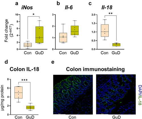 Figure 6. Guar gum-fed mice displayed reduced expression of colonic IL-18.