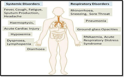 Figure 6. Reapiratory and systemic disorders caused by SARS-CoV 2 adaptive from (Rothan & Byrareddy, Citation2020).