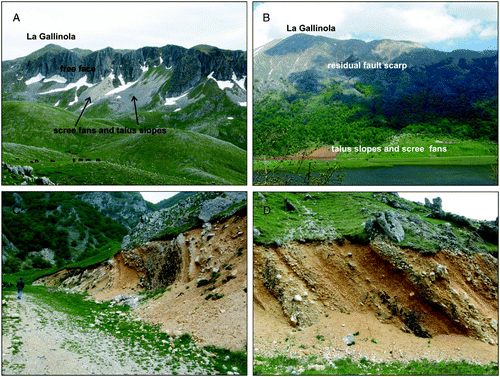 Figure 6. The northern slope of La Gallinola with its free face and active talus slopes and scree fans (A); the southern slope of La Gallinola with largely vegetated and stabilized talus slopes and scree fans (B); the lithified talus slope outcropping at Serra delle Macchietelle, characterized by steeply inclined strata, clearly discontinuous to the actual slope (C), made of alternating layers of sands and carbonate clasts in sandy-silty matrix (D).