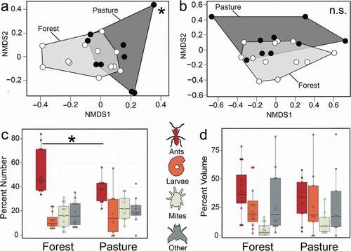 Figure 3. Diablito Frog diet differs between forest and pasture habitats. Non-metric multidimensional scaling (NMDS) biplots based on Bray-Curtis dissimilarities display diet differences between habitats using five prey item categories as input (ants, mites, larvae and “other” prey items) based on (a) percent number (Stress = 0.114) and (b) percent volume (Stress = 0.094) of prey items. Below each NMDS plot is abundance in percent volume (c) and percent number (d) of each prey item category among habitat groups [ants (red), larvae (orange), mites (beige), other (grey)].