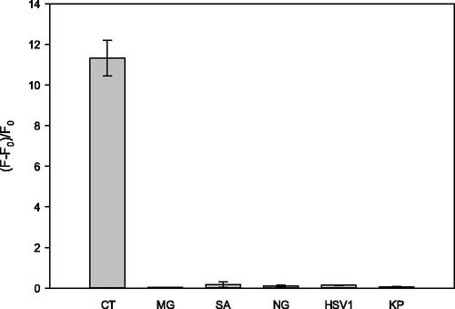 Figure 5. Detection selectivity of the new sensor. The target DNA is Chlamydia trachomatis (CT) and not-target DNAs are Mycoplasma genitalium (MG), Staphylococcus aureus (SA), Neisseria gonorrhoeae (NG), Herpes type 1 virus (HSV1) and Klebsiella pneumonia (KP). The final concentrations of S1, S2, target DNA and non-target DNAs were 2 μM.