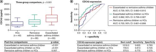 Figure 1. CDC42 in healthy controls, asthmatic children in remission and asthmatic children experiencing exacerbation. (A) Comparison of CDC42 in healthy controls, asthmatic children in remission and asthmatic children experiencing exacerbation. (B) ROC curve analysis of CDC42 among healthy controls, asthmatic children in remission and asthmatic children experiencing exacerbation.