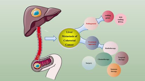 Figure 1 A summary of mechanism and treatment on liver metastasis of colorectal cancer.