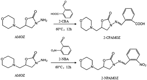 Figure 1. The synthesis routes of the 2-CPAMOZ and 2-NPAMOZ.