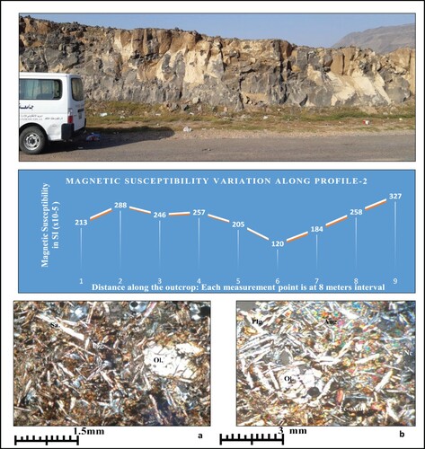 Figure 6. Variation of magnetic susceptibility along profile-2. A photograph of this profile is also given on top; a and b are microphotographs in crossed nicols of the studied olivine basalt. Symbols as Figure 5, Ne = Nephline.