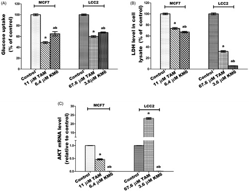 Figure 6. Effect of TAM and KM6 on glucose metabolism in MCF7 and LCC2. (A) Glucose uptake in media. (B): LDH level in cell lysate. (C) AKT mRNA expression. Statistical significance of results was analysed using one-way ANOVA followed by Tukey’s multiple comparison test. aSignificantly different from control, bfrom TAM and (p < 0.05). TAM was used at IC 50 (11 µM for MCF7 and 67.6 µM for LCC2). KM6 was used at IC 50 (6.4 µM MCF7 and 3.6 µM for LCC2).