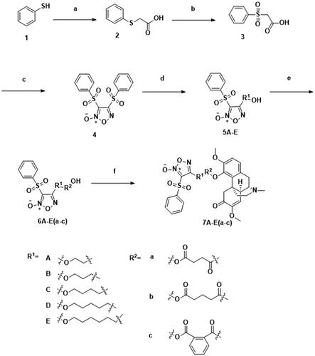Scheme 1. Synthesis of 1–4, 5A–E, 6A–E(a–c) and 7A–E(a–c). Reagents and conditions: (a) ClCH2COOH, NaOH (aq), reflux, 2 h; (b) 30% H2O2, AcOH, rt, 3 h; (c) fuming HNO3, 100 °C, 8 h; (d) corresponding diol, THF, 30% NaOH, 0 °C, 1 h; (e) corresponding anhydrides, TEA, DMAP, DCM, rt, 2 h; (f) DMAP, EDCI, rt, 4 h.