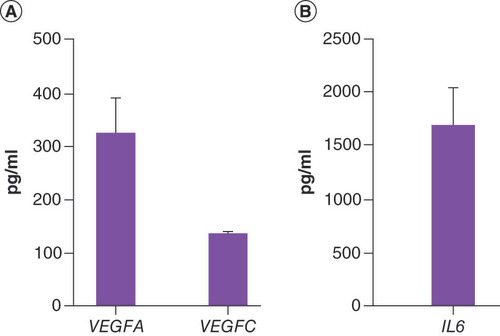 Figure 1. ELISA quantification of VEGFA, VEGFC and IL6. (A) VEGFA, VEGFC protein evaluation in human adipose-derived stem cell-conditioned medium. (B) IL6 protein evaluation in human adipose-derived stem cell-conditioned medium. Results given in pg/ml, are expressed as mean ± SE. n = 3 subjects.
