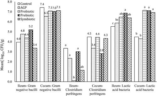 Figure 4. Gram-negative bacilli and Clostridium perfringens count, as well as lactic acid generation in broiler ileum and caeca at 42 days old (mean, log10 CFU/g). abcMeans with different superscripts differ significantly (p < .05).