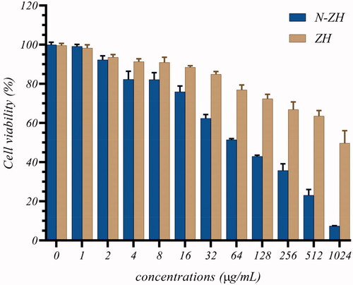 Figure 1. Effect of ZH and N-ZH treatment for 48 h on A549 cell growth was determined by MTT assay. The results were expressed as the percentage of living cells compared to those in the control group (0 μg ZH and N-ZH). Zein hydrolysate (ZH), Nano-liposomal ZH (N-ZH).