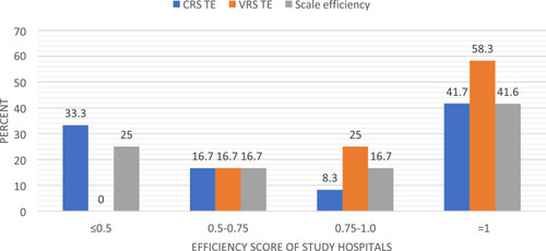 Figure 1 Efficiency score of public hospitals towards the provision of maternal health service in Northwest of ANRS, Ethiopia, 2020 (N = 12DMUs).