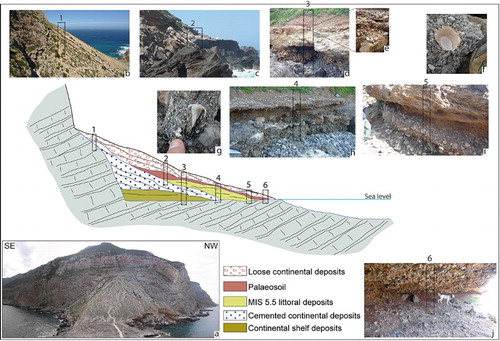 Figure 5. Composite stratigraphic section showing architecture and geometry relationships between continental and littoral upper Quaternary deposits. See text for more detail.