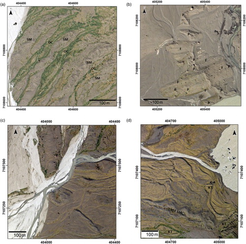 Figure 5. Glacial landforms and sediments of the Morsárjökull foreland: (a) large sawtooth moraine ridges (SM) and intervening glacifluvial outwash corridors (OC) produced where proglacial outwash was confined between moraine arcs on the northern foreland. This area of moraines is typical of the outer zone of slow snout recession dating to the period 1890–1903; (b) heavily fluted terrain (F) with relatively widely spaced push moraines (P) located in the central axis of the foreland and representative of relatively low debris provision and slow snout recession and readvances in the period 1970s–1990s. The large moraine complex in the centre of the image dates to around 1988 and was constructed around the time between the 1974 and 1989 advance period and 1990–1999 stillstand period; (c) heavily dissected and reworked moraines on the outer foreland, showing residual ‘islands’ of moraines isolated by relict and active braided outwash tracts. Note also the isolated large boulders let down onto the outwash after moraines have been completely reworked; (d) kame terraces (KT) and incised outwash developed on the proximal slopes of the immediately post-1903 sawtooth moraine complex (1903 SMC) on the south side of the foreland. Also clearly visible are isolated large boulders let down onto the outwash after moraine reworking.