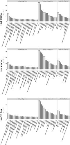 Figure 7 GO subcategories of the DEGs in kidney samples. GO, Gene Ontology; DEGs, differentially expressed genes.