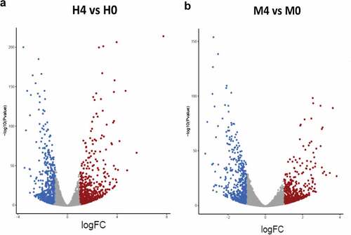 Figure 3. Differential gene expression analyses. (a-b) Volcano plots were used to determine the significantly different expressed transcripts among biological conditions (experimental group versus baseline): H4 vs H0 (a) and M4 vs M0 (b). Only log2(fold change) ≥ 2 or ≤ 2 and false discovery rate (FDR) adjusted p-values < 0.05 were analyzed. The upregulated transcripts were labelled in red and downregulated transcripts were labelled in blue. H0, macrophages infected with H37Rv at 0 hr post-infection; H4, macrophages infected with H37Rv at 4 hr post-infection; M0, macrophages infected with MKR at 0 hr post-infection; M4, macrophages infected with MKR at 4 hr post-infection.
