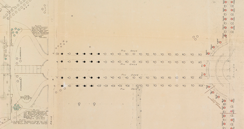 Figure 4. 1936 Campus Tree Plan. Image courtesy Washington University in St. Louis Special Collections.