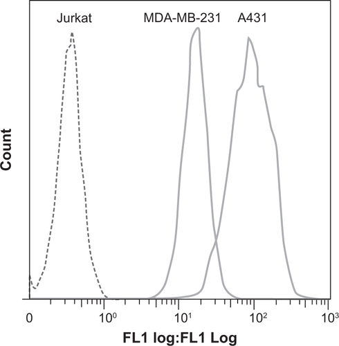 Figure S11 Check for overexpression of epidermal growth factor receptor in Jurkat, MDA-MB-231, and A431 cell lines.