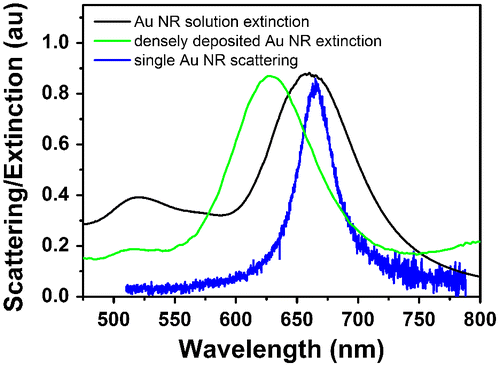 Figure 1. Extinction spectra of Au nanorods (NRs) dispersed in aqueous solution (black curve) and deposited on glass substrate (green curve); scattering spectrum of single Au nanorod deposited on glass substrate (blue curve).
