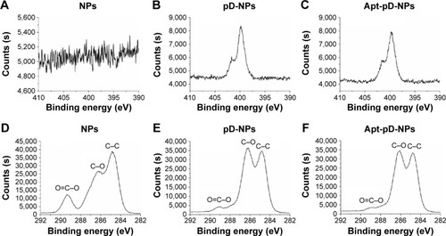 Figure 3 XPS spectra of NPs, pD-NPs, and Apt-pD-NPs.Notes: (A–C) Narrow scan for N 1s peaks. (D–F) Narrow scan for C 1s peaks. Both pD-NPs and Apt-pD-NPs showed two nitrogen peaks (N 1s) at ~398.8 eV (nonprotonated amine groups) and ~402.1 eV (protonated amine groups) in XPS spectra, but bare NPs did not, verifying the presence of pD films on NP surface.Abbreviations: XPS, X-ray photoelectron spectroscopy; NPs, nanoparticles; pD, polydopamine; Apt, aptamer; s, seconds.