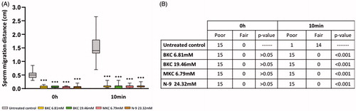 Figure 2. Sperm penetration capacity assessment following exposure to either the untreated control, BKC, MKC or N-9. (A) Sperm migration distance, (B) number of human sperm samples classified as ‘poor’ or ‘fair’ for penetration ability. ***Represents significant differences at p < .001 when compared to the untreated control.