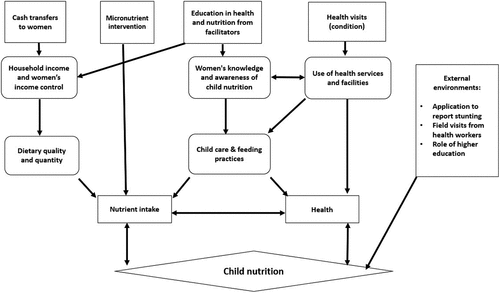 Figure 1. Pathways of which FHP affects child nutrition.