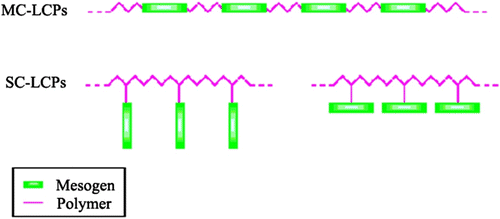 Figure 5 Schematic representation of MC-LCPs and SC-LCPs.