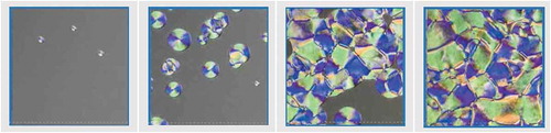 Figure 3. (Colour online) (a-d) (from left to right): Microscopic texture change of 1 upon cooling down from isotropic to ‘nematic’ phase. (a) Appearance of droplets, (b) Growing droplets, (c) Fusing process of droplets, (d) Final quasi-stable ‘nematic’ texture. Images are artificially brightened to optimise texture visibility