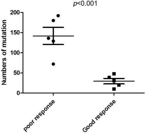 Figure 1 The number of co-mutations in groups with a poor or good response to crizotinib.