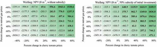 Figure E3. Mean NPV of a 1.4-hectare tomato glasshouse under different tomato and gas price changes for Weifang, without and with 50% subsidy on the initial investment costs.
