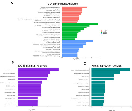 Figure 5 Enrichment analysis of GO terms, DO terms and KEGG pathways for differentially expressed mRNAs. The terms with P < 0.05 are considered as significantly enriched. (A) The red bars showing 10 GO terms of biological process; The green bars showing 10 GO terms of cellular component; The blue bars showing 10 GO terms of molecular function. (B) 12 DO terms analysis. (C) 12 KEGG pathways analysis.