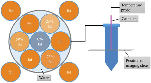 Figure 1. Schematic of the home-made phantom. In this study, only the MRT of the vial in the center, containing the water mixture, is analyzed. The outer four fat vials are used for correcting for the B0 drift.