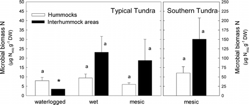 FIGURE 3. Microbial nitrogen in soils of hummocks and interhummock areas of the southern tundra subzone and three subsites of the typical tundra subzone, Taymyr Peninsula, Russia. Bars represent means plus one standard error (n = 3–5; asterisk denotes single value). Within each site, bars with different letters are significantly different (ANOVA, LSD, P < 0.05)