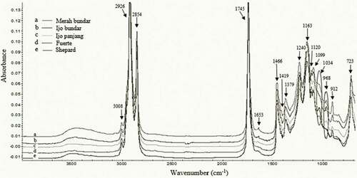 Figure 1. FTIR spectra of avocado oils recorded at frequencies of 4000–650 cm−1.