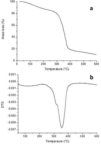 Figure 2. TG curves and DTG starch thermoplastic pejibaye fruit.