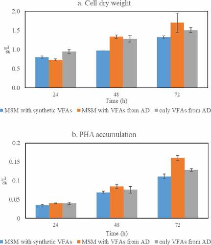 Figure 5. Cell mass (a) and PHAs (b) concentrations obtained during cultivation of Bacillus megaterium ATCC 14,945 in three different medium recipes: a) Minimal Salt Medium (MSM) containing a mixture of synthetic VFAs; b) MSM with VFAs from acidogenic fermentation; and c) VFAs-rich stream as produced from acidogenic fermentation of food waste